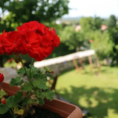 Holiday - Valle Бале